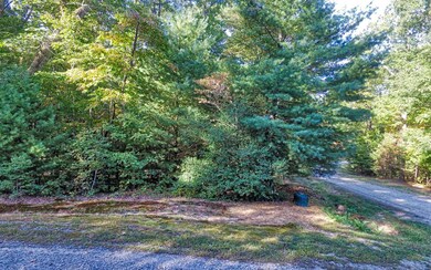 Additional View