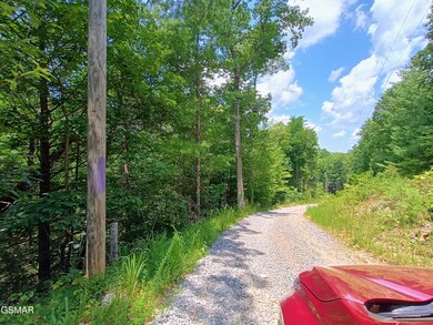 0 Rivendell Ln unit 307703, Coker Creek, TN 37385 - photo 3