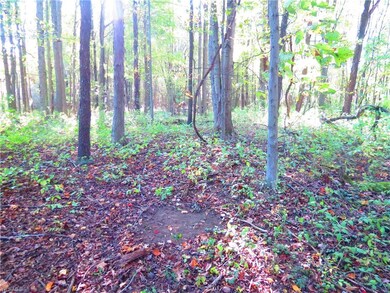 VL Traxler Rd, Dorset, OH 44032 - photo 4