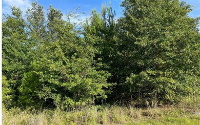 772 NW Country Lake Dr, Lake City, FL 32055 - photo 2