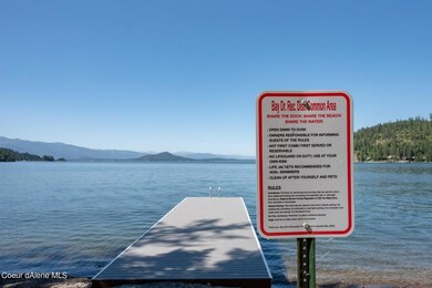 Community Beach and Dock