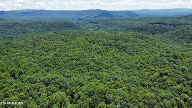 Photo Jul 10 2023, 2 19 04 PM