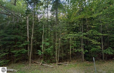 000 Huff Rd, Stronach, MI 49660 - photo 5