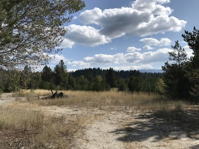 Open Views to the East