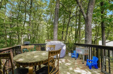 Private back yard...