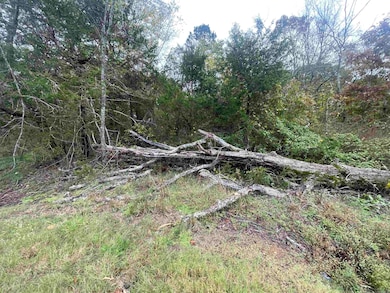 000 Prim Rd, Prim, AR 72130 - photo 3