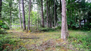 18435 Blue Hills Loop SE, Yelm, WA 98597 - photo 3