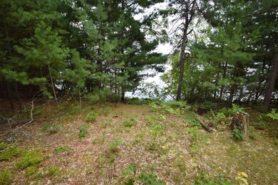 6903 Flowage Dr, Danbury, WI 54830 - photo 5