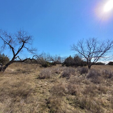 000 Private Road 16024 unit 111, Jonesboro, TX 76538 - photo 7