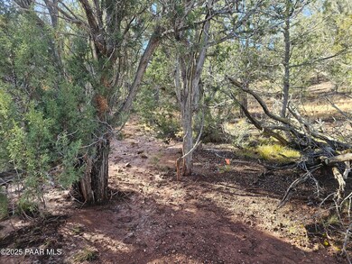 54892 N Potrero Ln, Seligman, AZ 86337 - photo 7