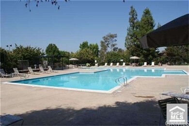 Olympic Size Pool
