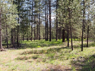 Nkn Us Highway 2, Libby, MT 59923 - photo 4