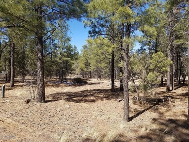 1301 S Jimson Loop
