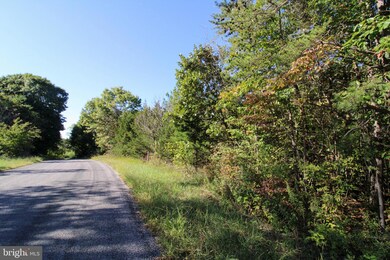 TBD Roark Mill Rd, Hurt, VA 24563 - photo 3