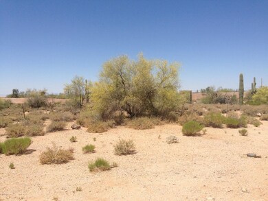 photo (11)