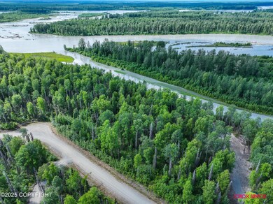 54886 S Salmon Run Rd, Willow, AK 99688 - photo 6