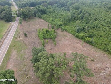 0 Highway 22 A, Enville, TN 38332 - photo 6