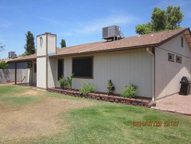 BACK YARD