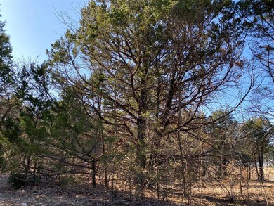 1768 Gordonville Rd, Gordonville, TX 76245 - photo 6