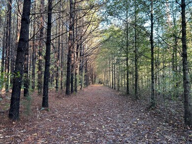 00 Lafayette Springs Rd, Thaxton, MS 38871 - photo 3