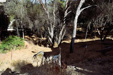 20739 Lower Hillview Dr, Phoenix Lake-Cedar Ridge, CA 95370 - photo 6