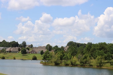 204 Spring Lake Cove, Oxford, MS 38655 - photo 6