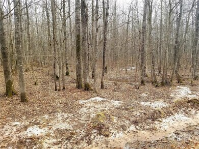 XXX 15th Ave, Rice Lake, WI 54868 - photo 3