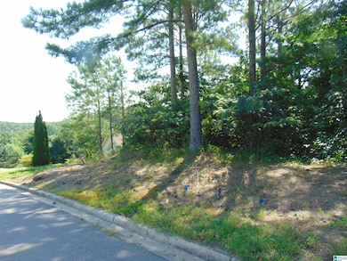 162 Jewell Cir, Bessemer, AL 35022 - photo 3