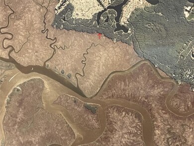 171 Saint Annies Ln, Saint Simons Island, GA 31522 - photo 3