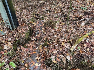 0 Henry Rd unit 26042658, Ellijay, NC 28734 - photo 2