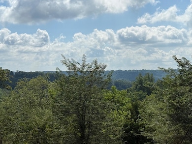 2428 Hempfling Rd, Morning View, KY 41063 - photo 6