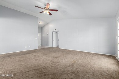 3-1746 N Pinnule
