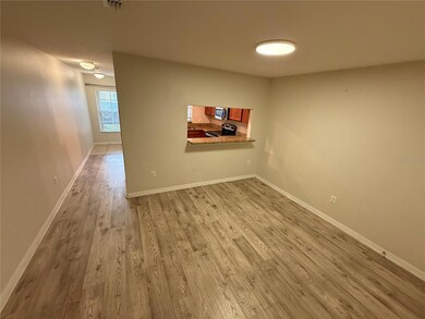 9854 Trumpet Vine Loop, Trinity, FL 34655 - photo 6