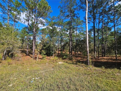 2171 SE 148 Ct, Williston Highlands, FL 32668 - photo 3