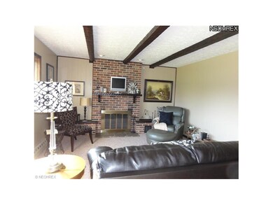 Lower level rec room with fireplace
