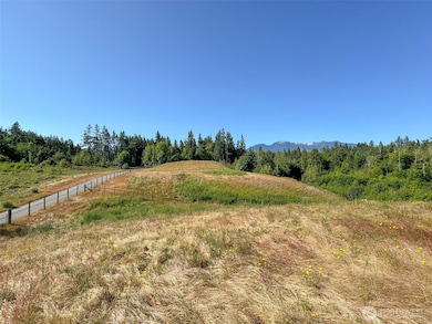 1000 Lemmon Rd, Port Angeles, WA 98362 - photo 5