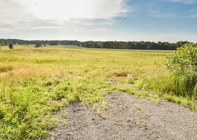 V/L Windsor-Mechanicsville Rd, Orwell, OH 44076 - photo 4