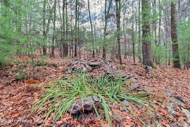 641 Long Mountain Rd, Effort, PA 18330 - photo 7