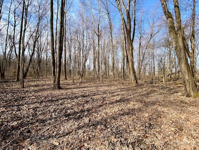 ac Goodwin Schoolhouse Point Isabel Rd, Franklin Township, OH 45106 - photo 7