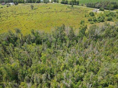 TBD Major Douglas Sloan Rd unit (Old US 31), Charlevoix, MI 49720 - photo 6