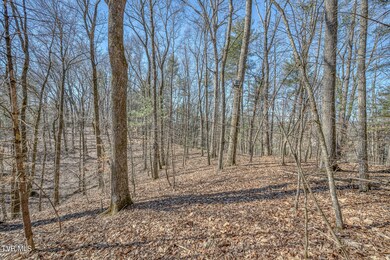 TBD Cleveland Rd Upper 6