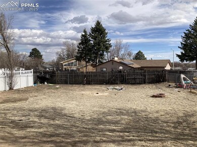 Back yard