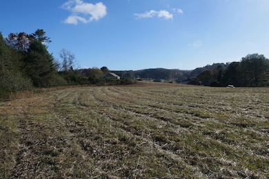 0 Harmon St unit LotWP001, Hillsville, VA 24343 - photo 5