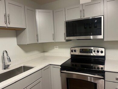 1744 E Oakton St unit 102, Des Plaines, IL 60018 - photo 3