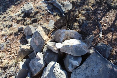 Tbd Greenview Ranch, Seligman, AZ 86337 - photo 6