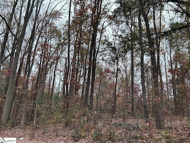 11 Pleasant Grove St, Welcome, SC 29611 - photo 4