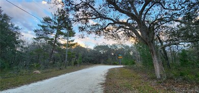 6685 W Merrivale Ln, Homosassa Springs, FL 34446 - photo 2