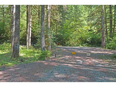 30703 NE Olson Rd, Yacolt, WA 98675 - photo 6