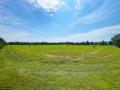 1500X 60th St SW, Cokato, MN 55321 - photo 7