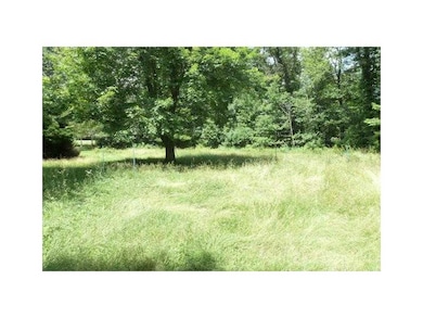 Yard/Garden.
